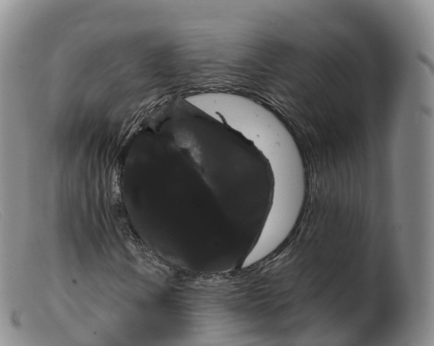 X0000099381106200805221759