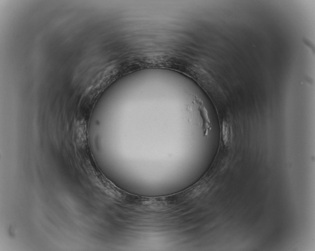 X0000099381107200805221759