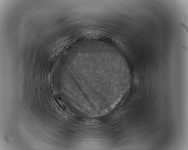 X0000099381108200805221759