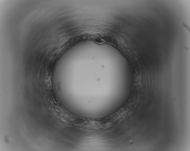 X0000099381109200805221759