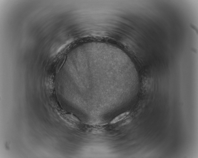 X0000099381110200805221759