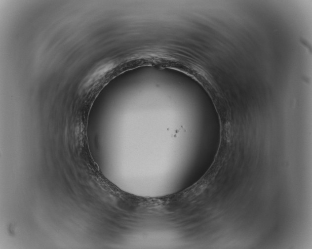 X0000099381111200805221759