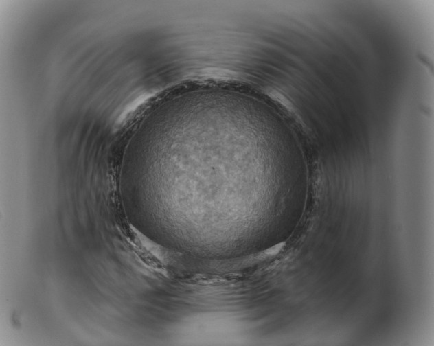 X0000099381112200805221759