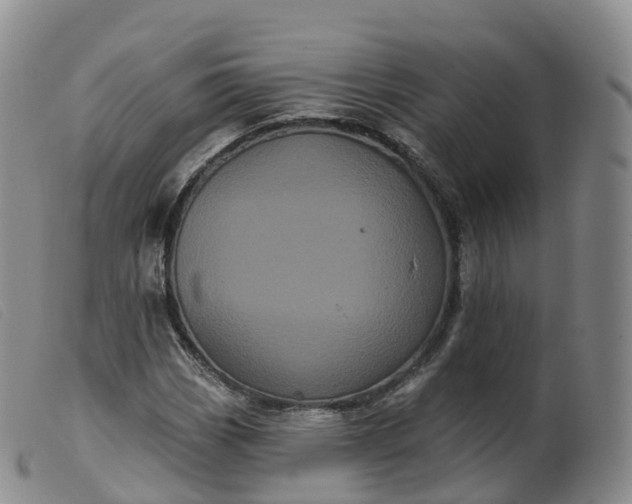 X0000099381113200805221759