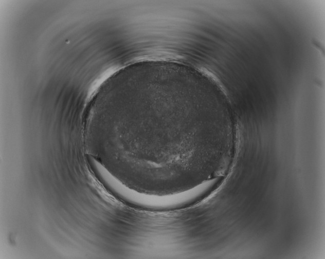 X0000099381114200805221759