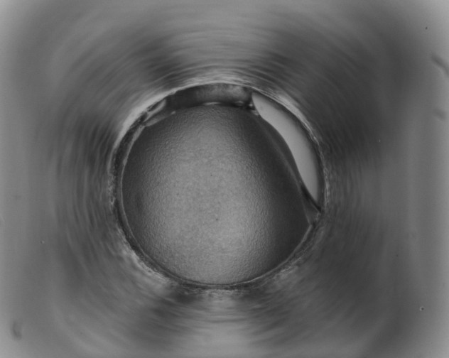 X0000099381116200805221759