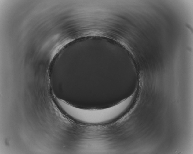 X0000099381117200805221759