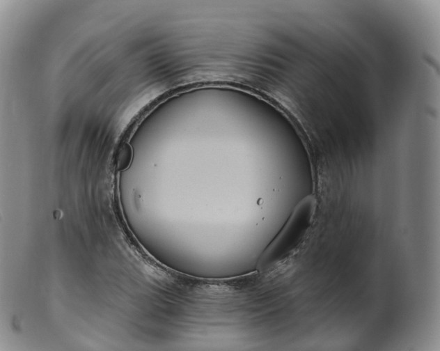 X0000099381119200805221759