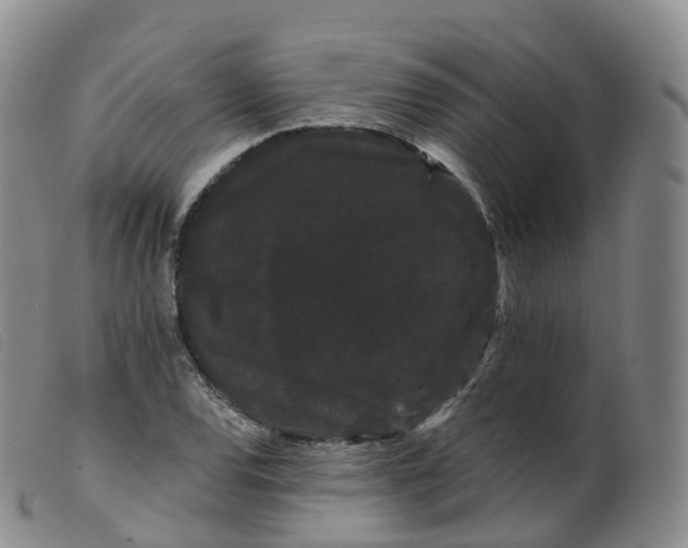 X0000099381120200805221759