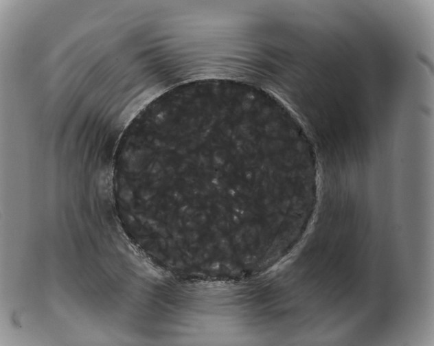 X0000099381121200805221759