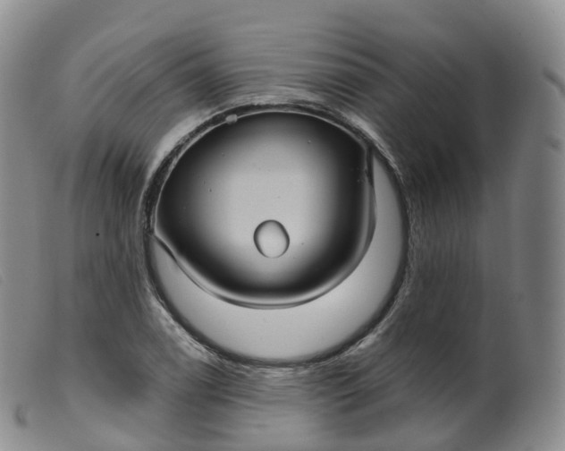 X0000099381122200805221759