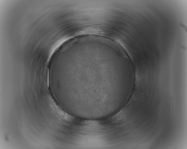 X0000099381123200805221759