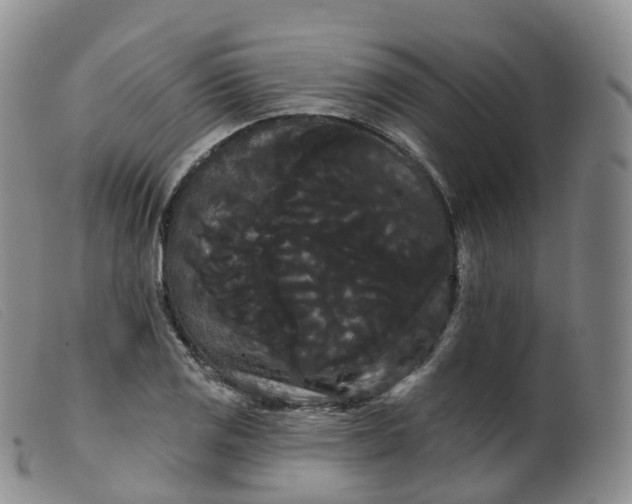 X0000099381125200805221759