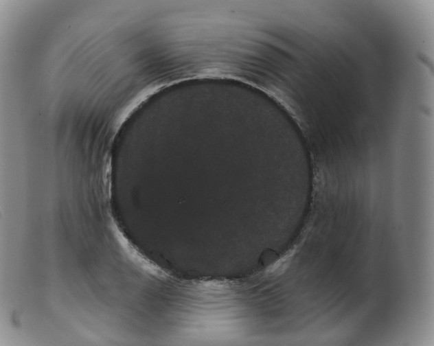 X0000099381126200805221759