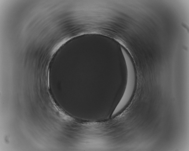 X0000099381127200805221759