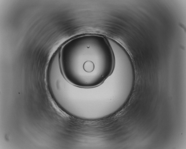 X0000099381128200805221759