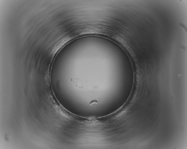 X0000099381129200805221759