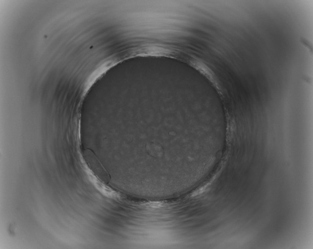 X0000099381130200805221759