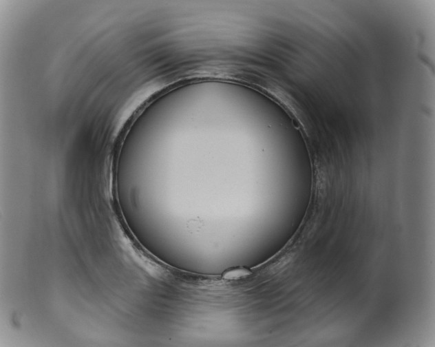 X0000099381131200805221759