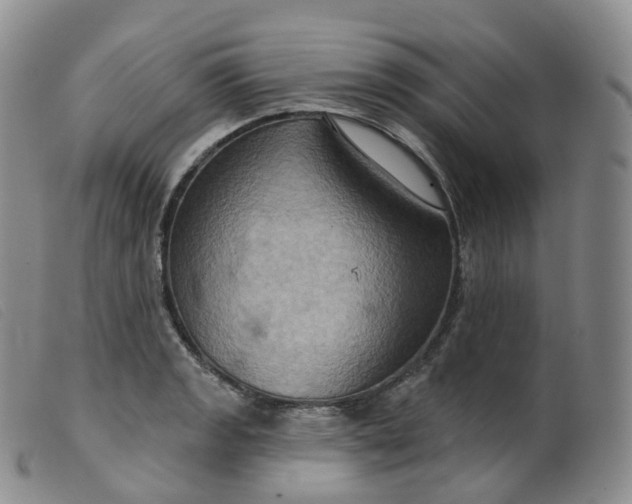 X0000099381133200805221759