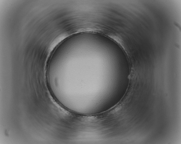 X0000099381135200805221759