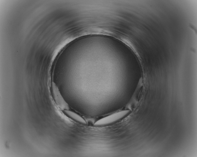 X0000099381136200805221759