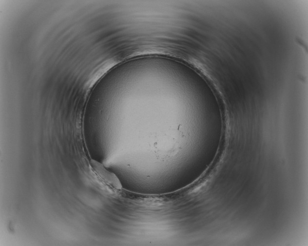 X0000099381137200805221759