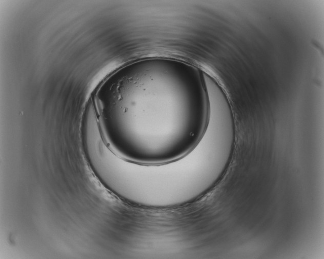 X0000099381138200805221759