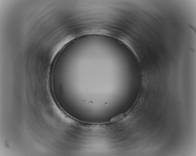 X0000099381139200805221759