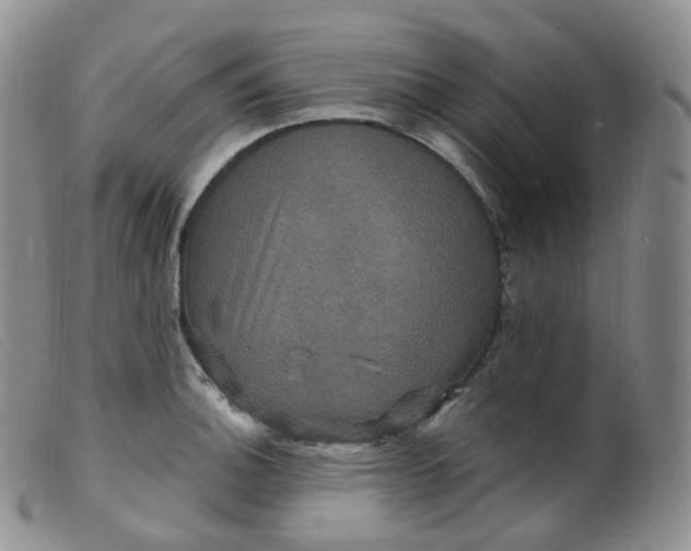 X0000099381140200805221759