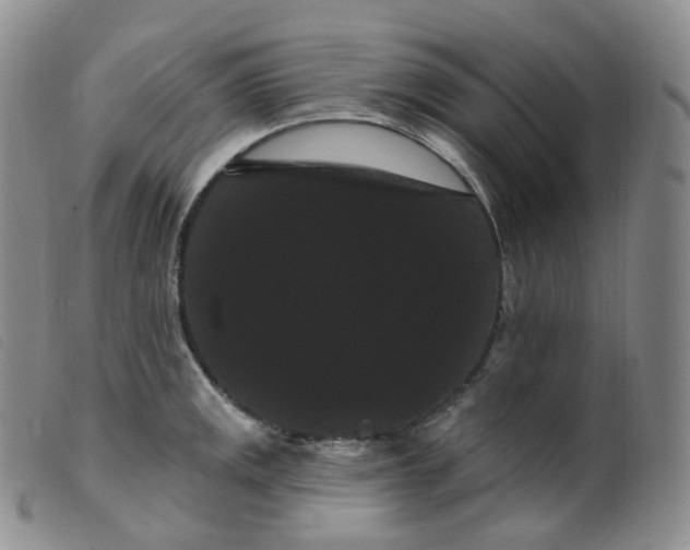 X0000099381141200805221759