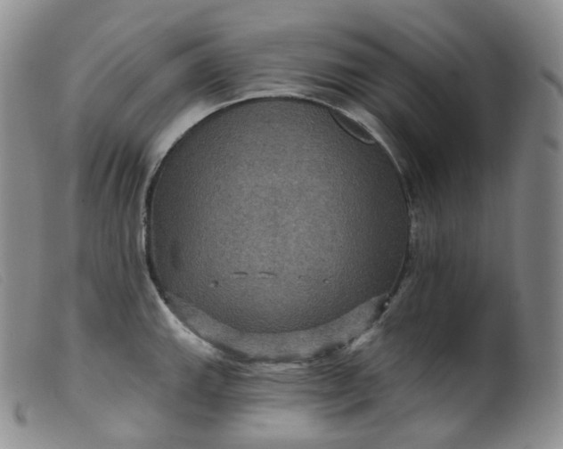 X0000099381143200805221759