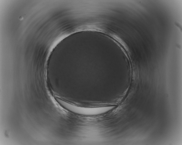 X0000099381144200805221759