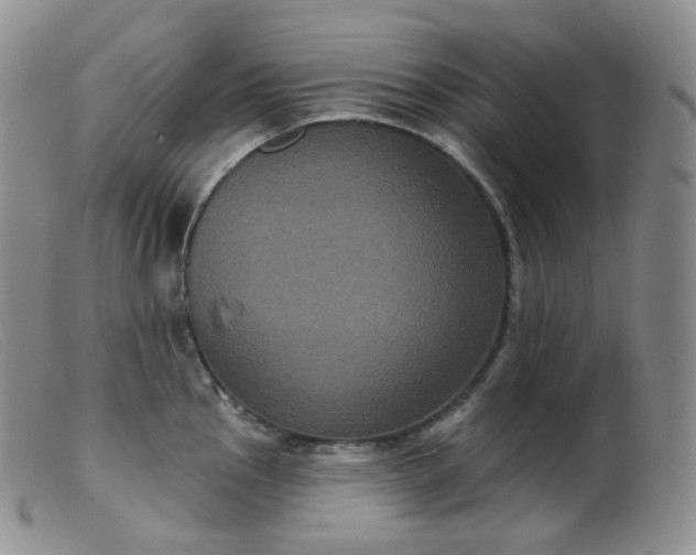 X0000099381145200805221759