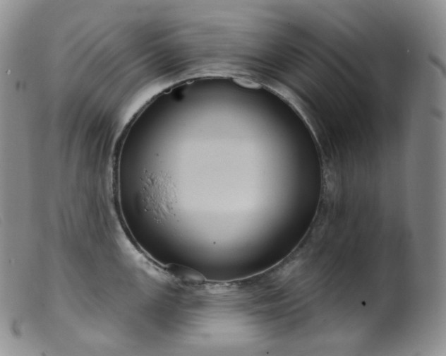 X0000099381147200805221759