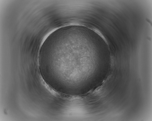 X0000099381148200805221800