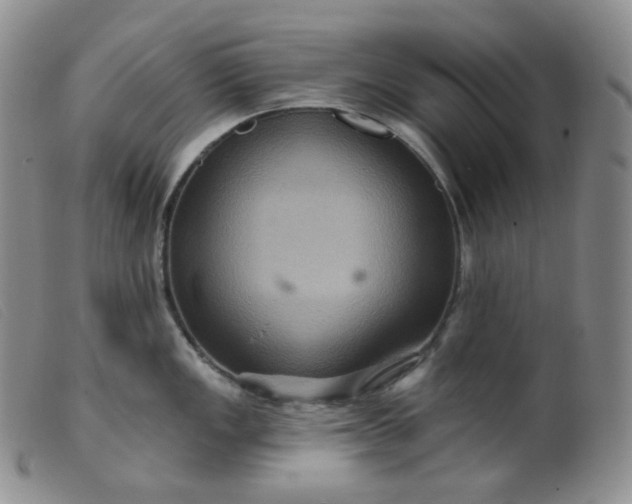 X0000099381149200805221800