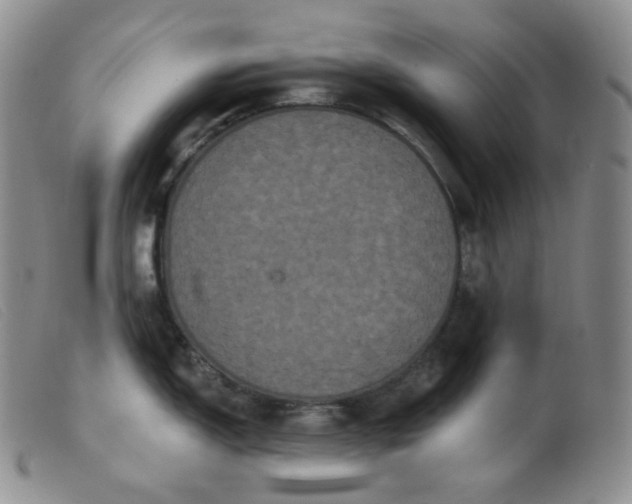 X0000099381150200805221800