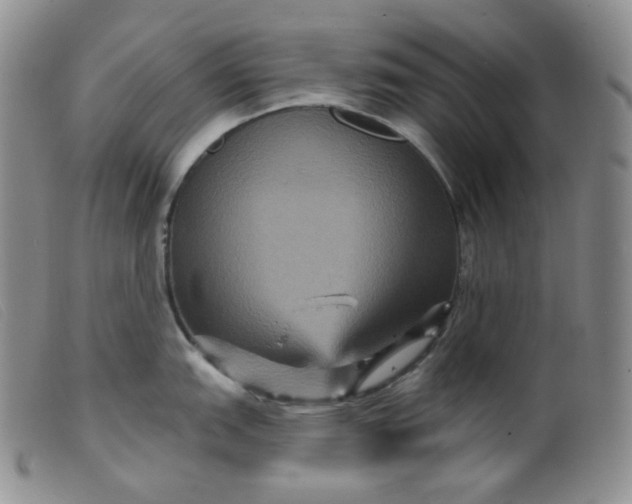 X0000099381151200805221800