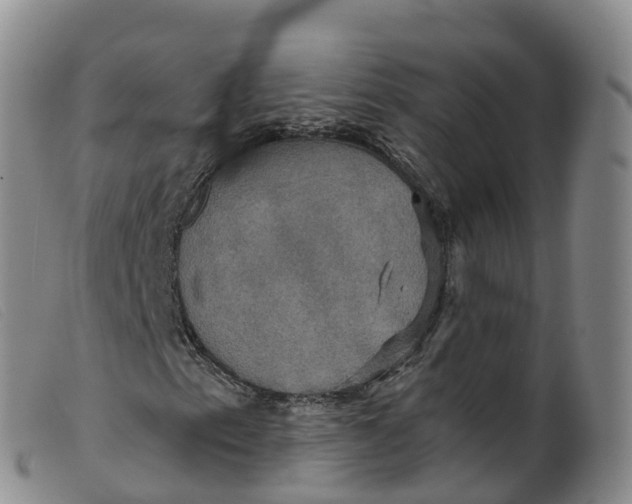 X0000099381153200805221759