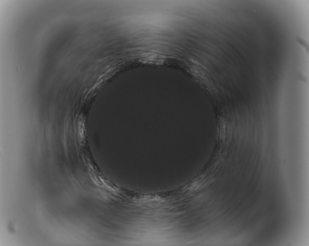 X0000099381154200805221759