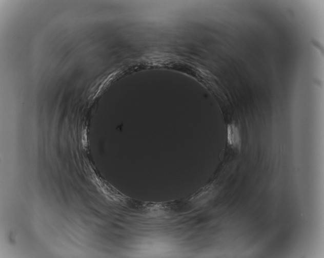 X0000099381155200805221759