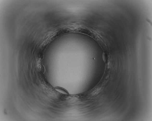 X0000099381156200805221759