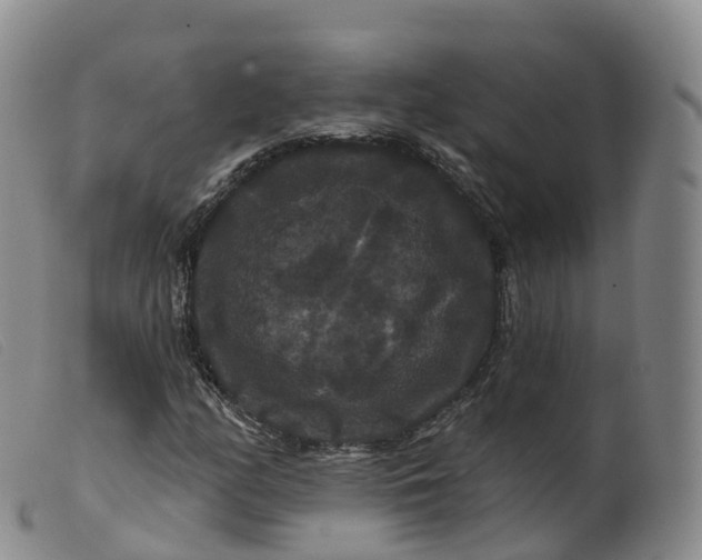 X0000099381158200805221759