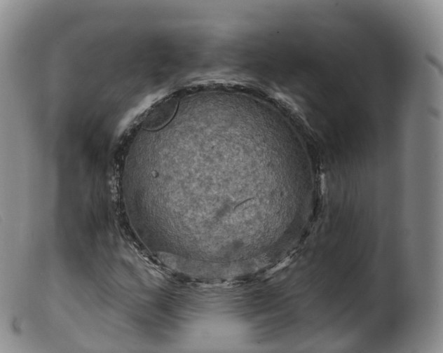 X0000099381159200805221759