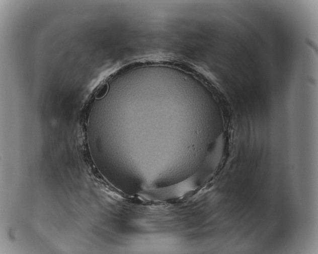 X0000099381160200805221759