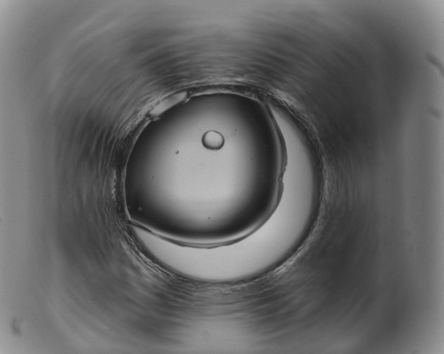 X0000099381161200805221759