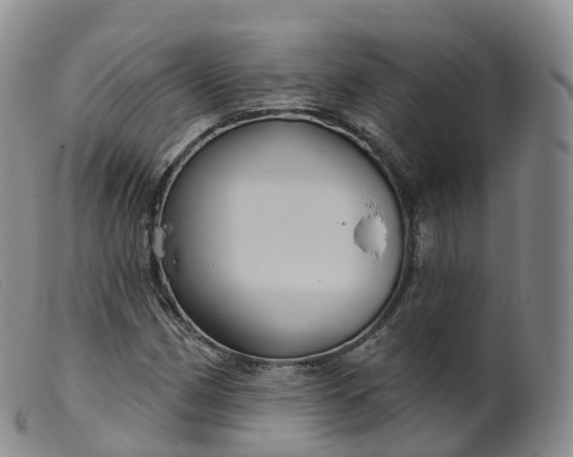 X0000099381162200805221759