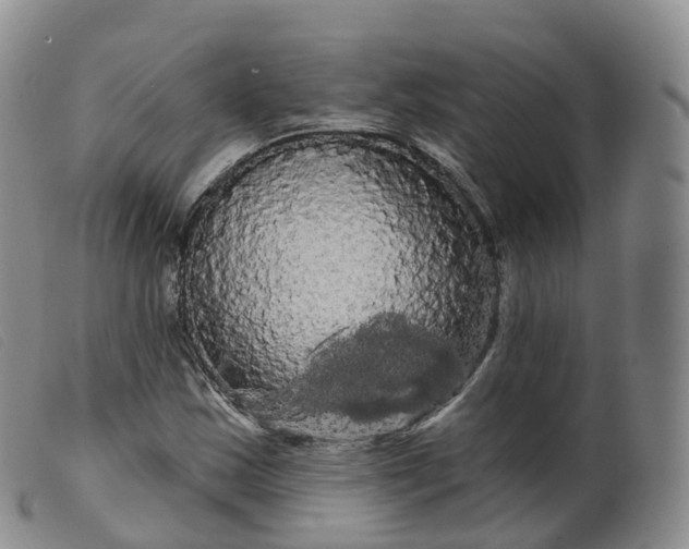 X0000099381163200805221759