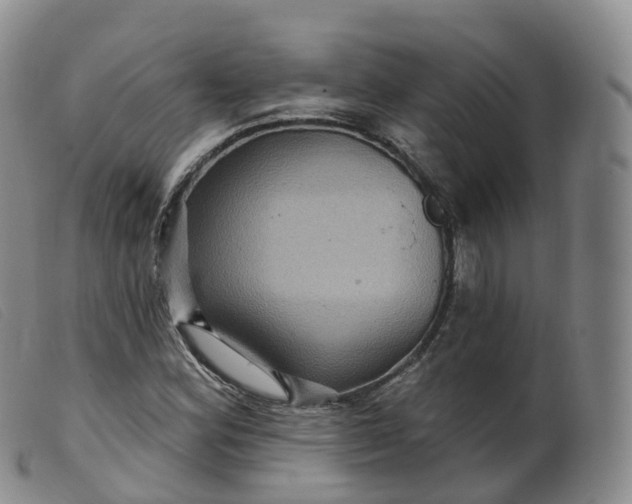 X0000099381164200805221759